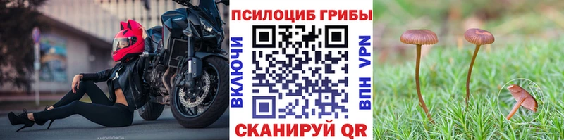 как найти закладки  Зарайск  Псилоцибиновые грибы ЛСД 